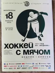 Водник Архангельск - Енисей Красноярск 18.01.2026 Суперлига 101 год Водник