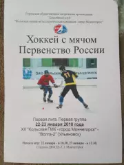 Кольская ГМК Мончегорск - Волга-2 Ульяновск 22-23.01.2010 сезон 2009/2010Россия