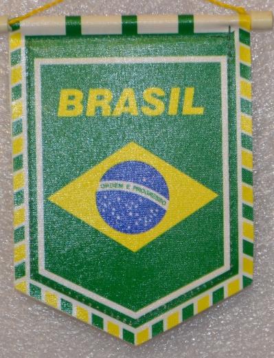 Федерация футбола Бразилии 1