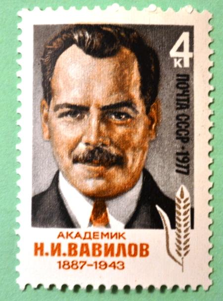 СССР 1977г 90th Birth Anniversary of Nikolai Vavilov (1887-1943)