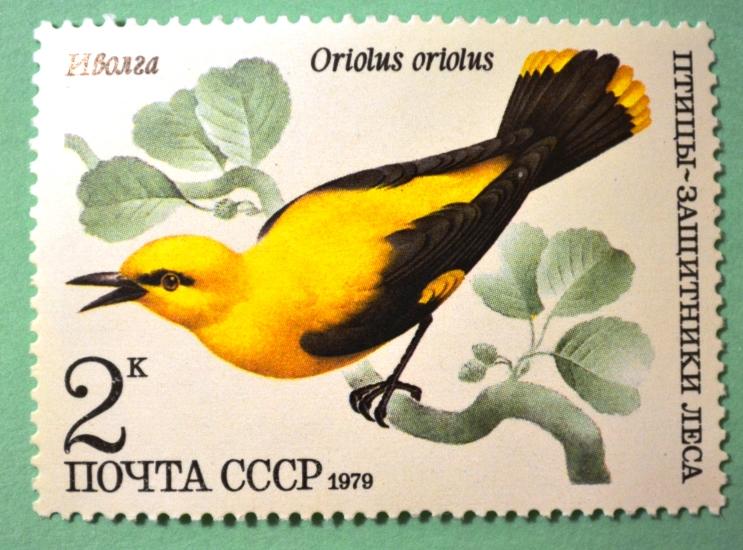 СССР 1979г Golden Oriole (Oriolus oriolus)