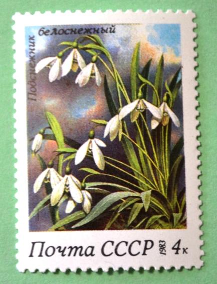 СССР 1983г Snowdrops (Galanthus nivalis)