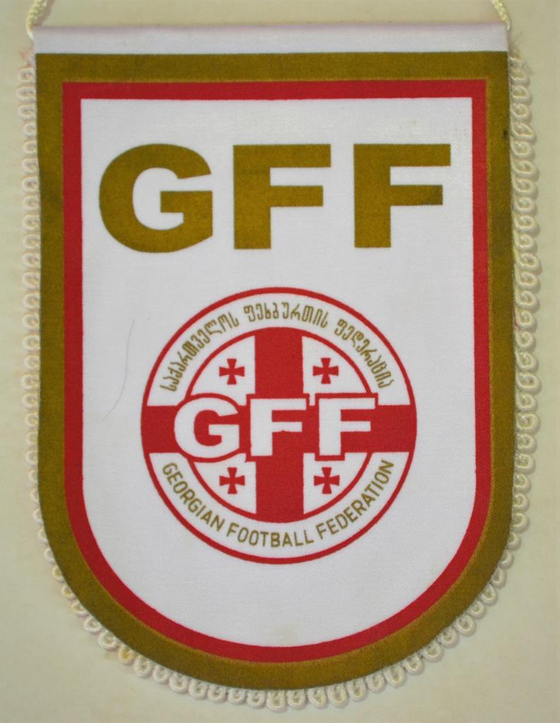 Федерация футбола Грузии(1)