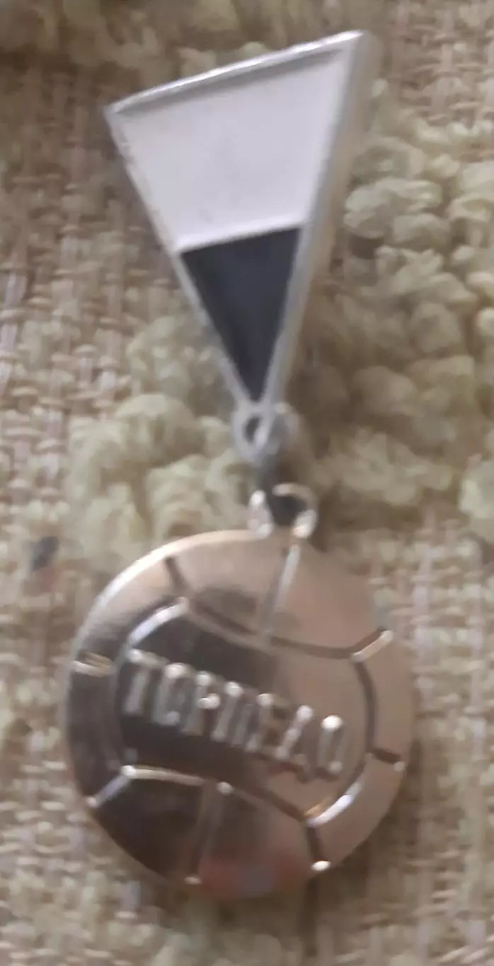 Знак торпедо москва подвес