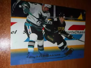 футбол. карточка = 125 - Dave Gagner - Dallas Stars