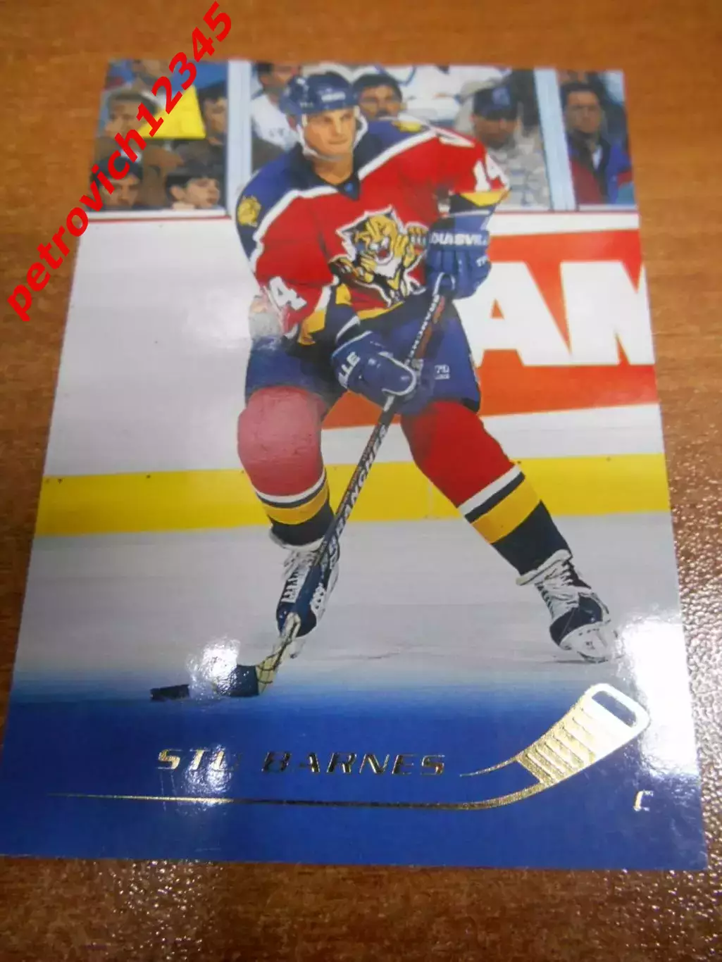 футбол. карточка = 40 - Stu Barnes - Florida Panthers