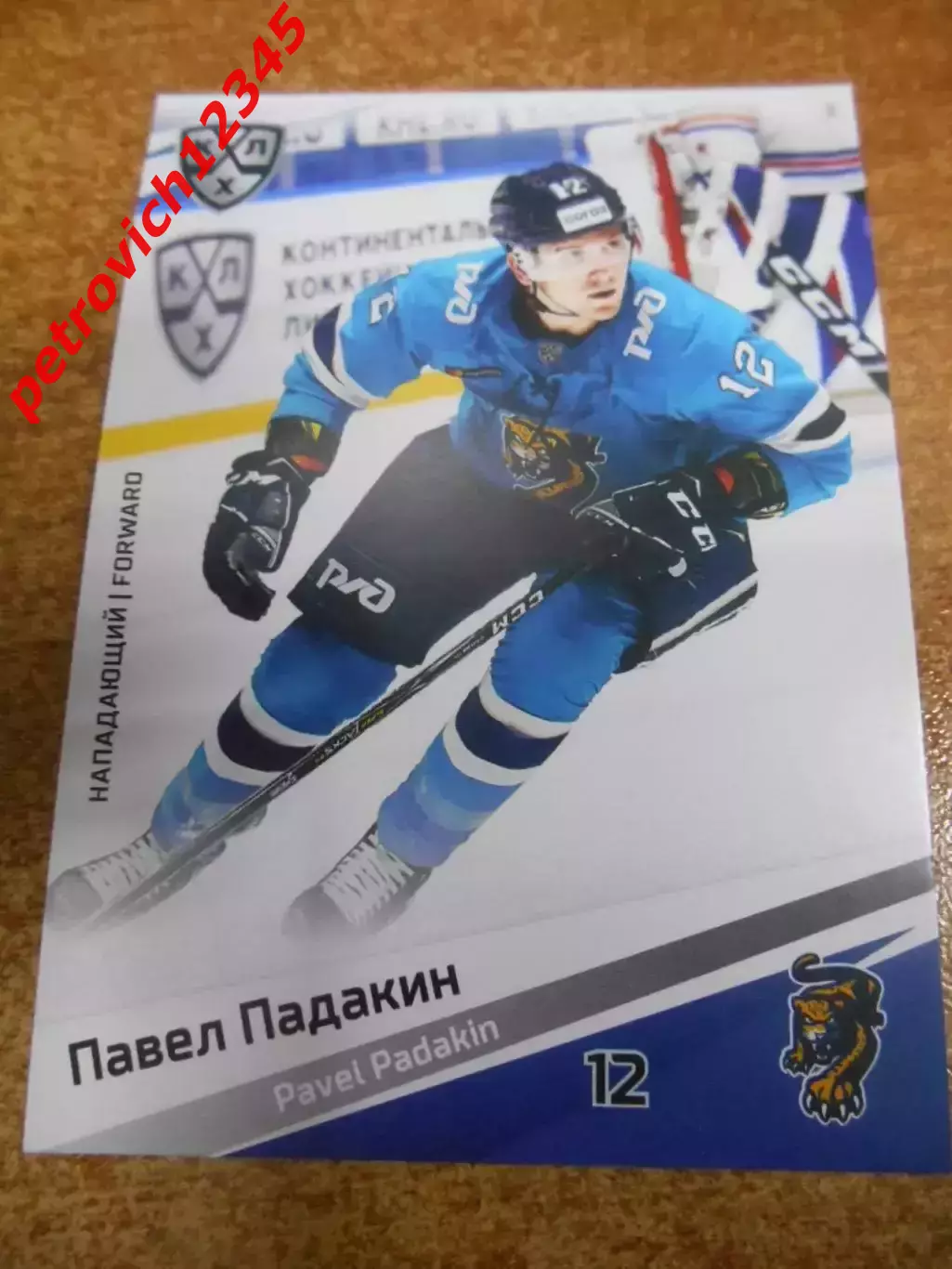 футбол. карточка = SCH-013 - Pavel Padakin - HC Sochi
