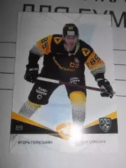 футбол. карточка = SEV-011 Игорь Гераськин Северсталь Череповец