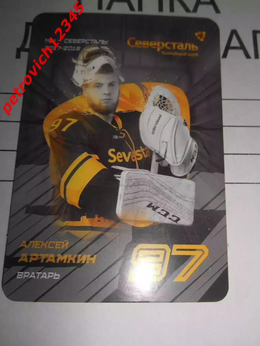 карточка = Алексей Артамкин (Северсталь Череповец)