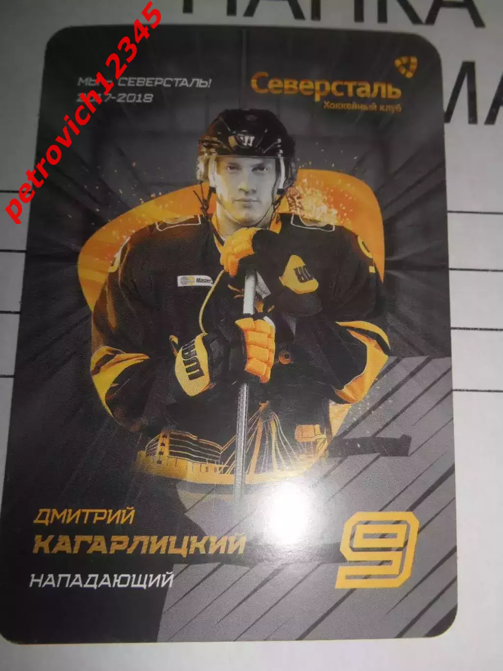 карточка = Дмитрий Кагарлицкий (Северсталь Череповец)