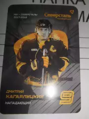 карточка = Дмитрий Кагарлицкий