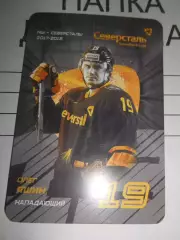 карточка = Олег Яшин