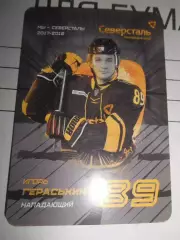 карточка = Игорь Гераськин