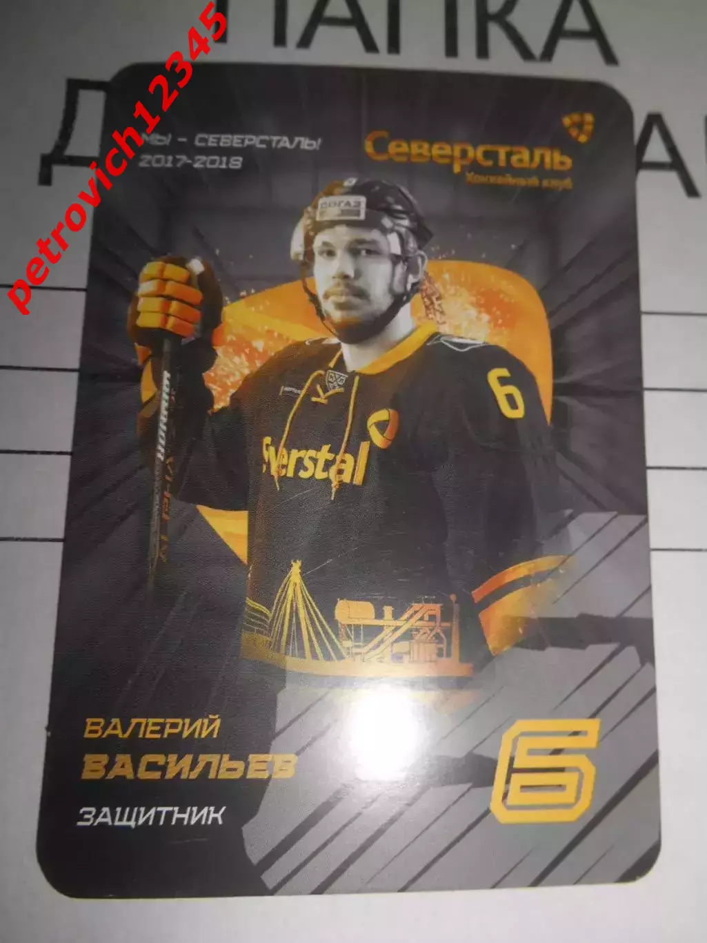 карточка = Валерий Васильев (Северсталь Череповец)
