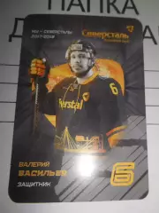 карточка = Валерий Васильев