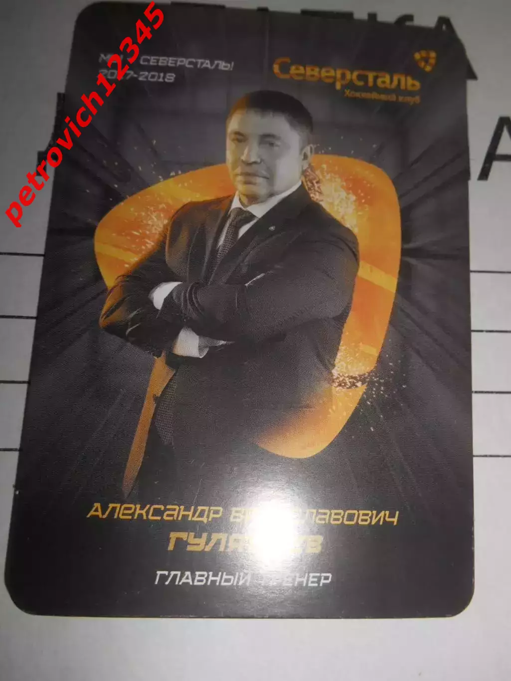 карточка = Александр Гулявцев (Северсталь Череповец)