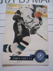 футбол. карточка = 369 - Aaron Gavey - Tampa Bay Lightning