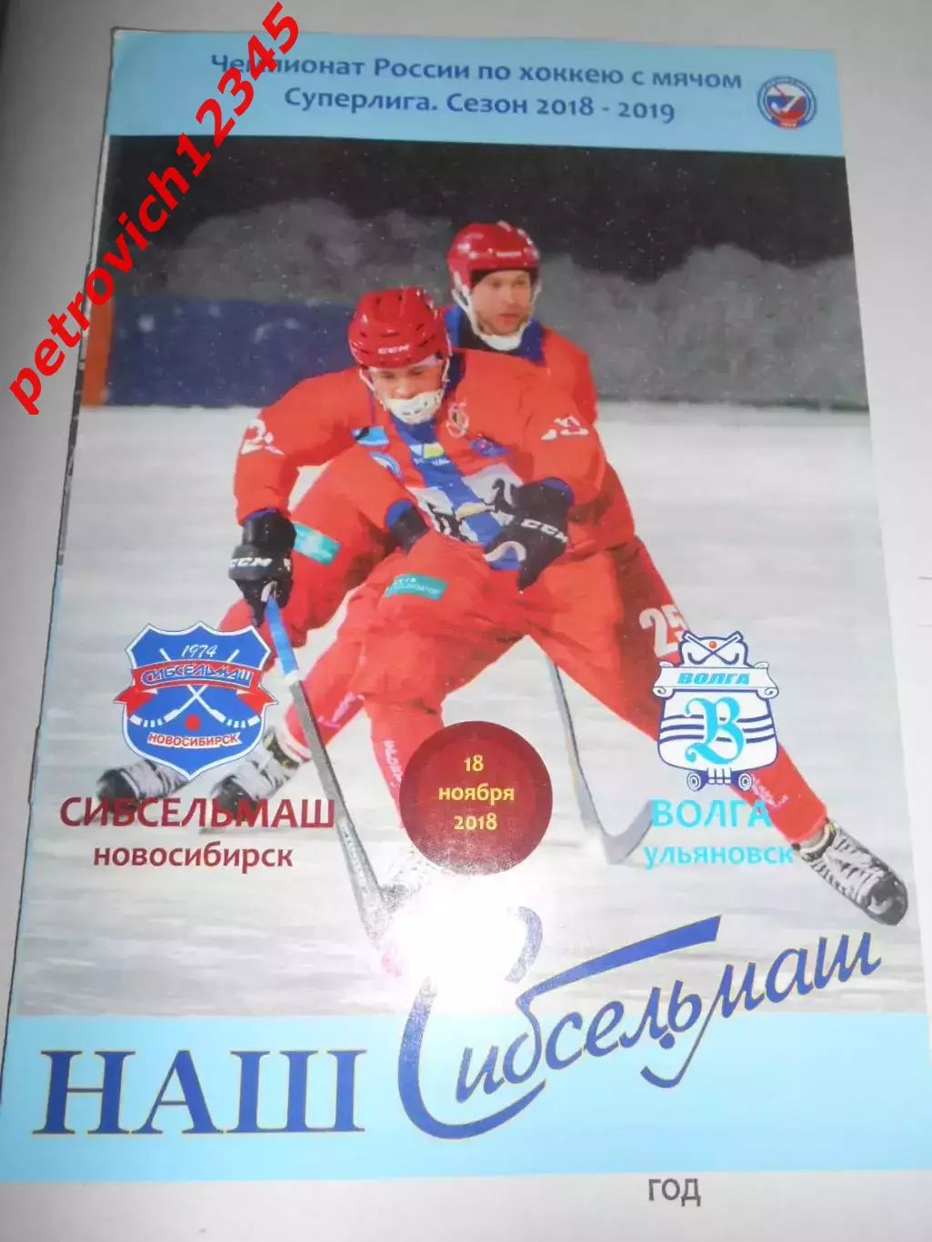 Сибсельмаш Новосибирск - Волга Ульяновск - 18 ноября 2018г