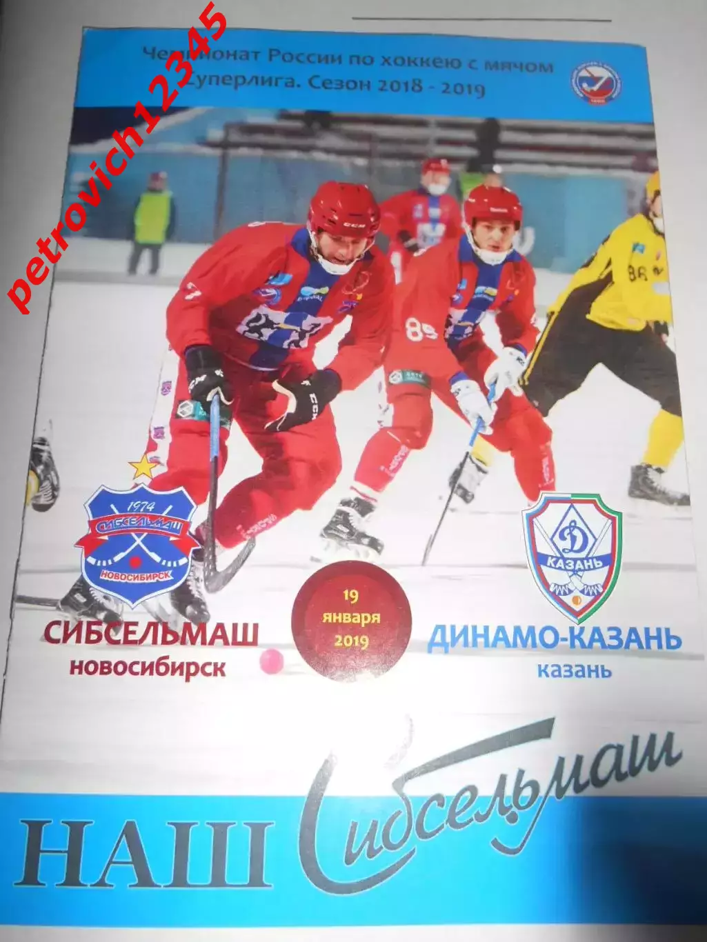 Сибсельмаш Новосибирск - Динамо Казань - 19 января 2019г
