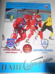 Сибсельмаш Новосибирск - Динамо Казань - 19 января 2019г