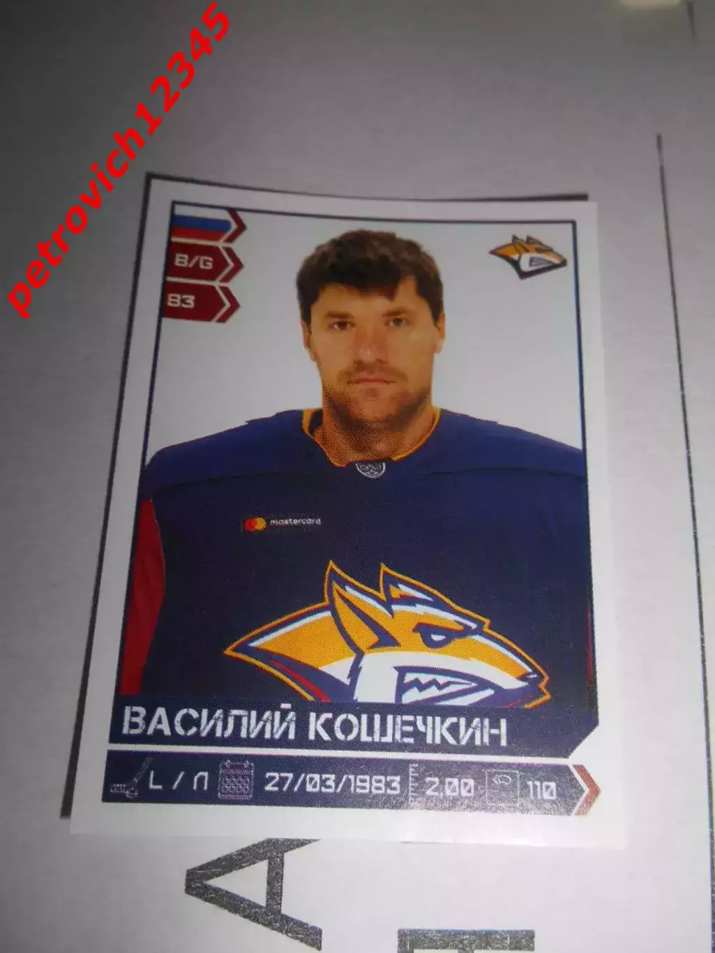 PANINI КХЛ 2018-2019 = 273 - Василий Кошечкин (Металлург Магнитогорск)