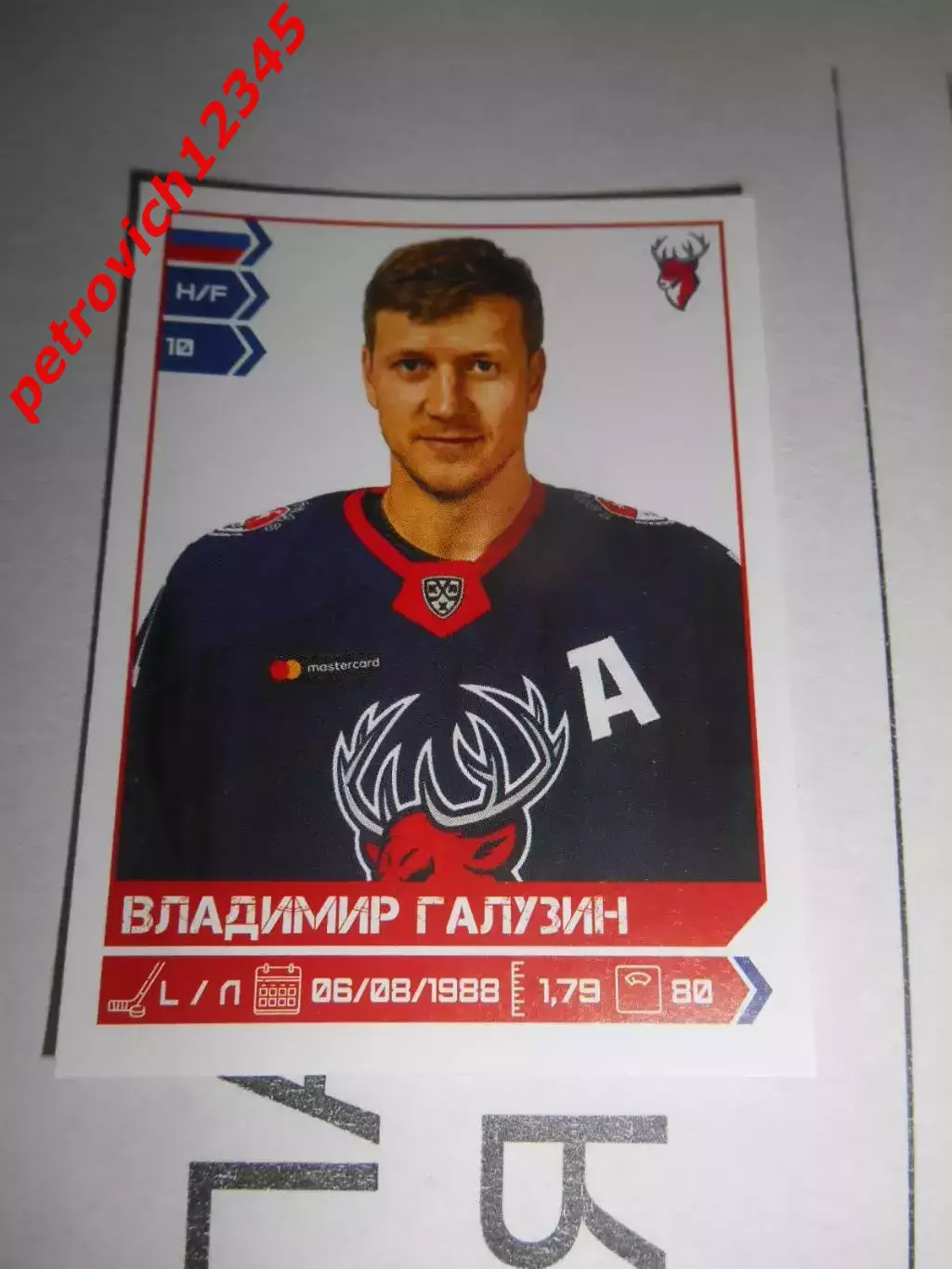 PANINI КХЛ 2018-2019 = 320 - Владимир Галузин (Торпедо Нижний Новгород)