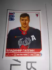 PANINI КХЛ 2018-2019 = 320 - Владимир Галузин (Торпедо Нижний Новгород)