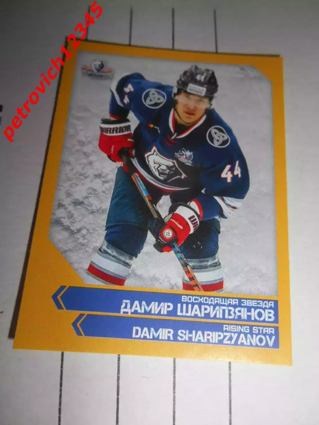 PANINI КХЛ 2018-2019 = 291 - Дамир Шарипзянов (Нефтехимик Нижнекамск)