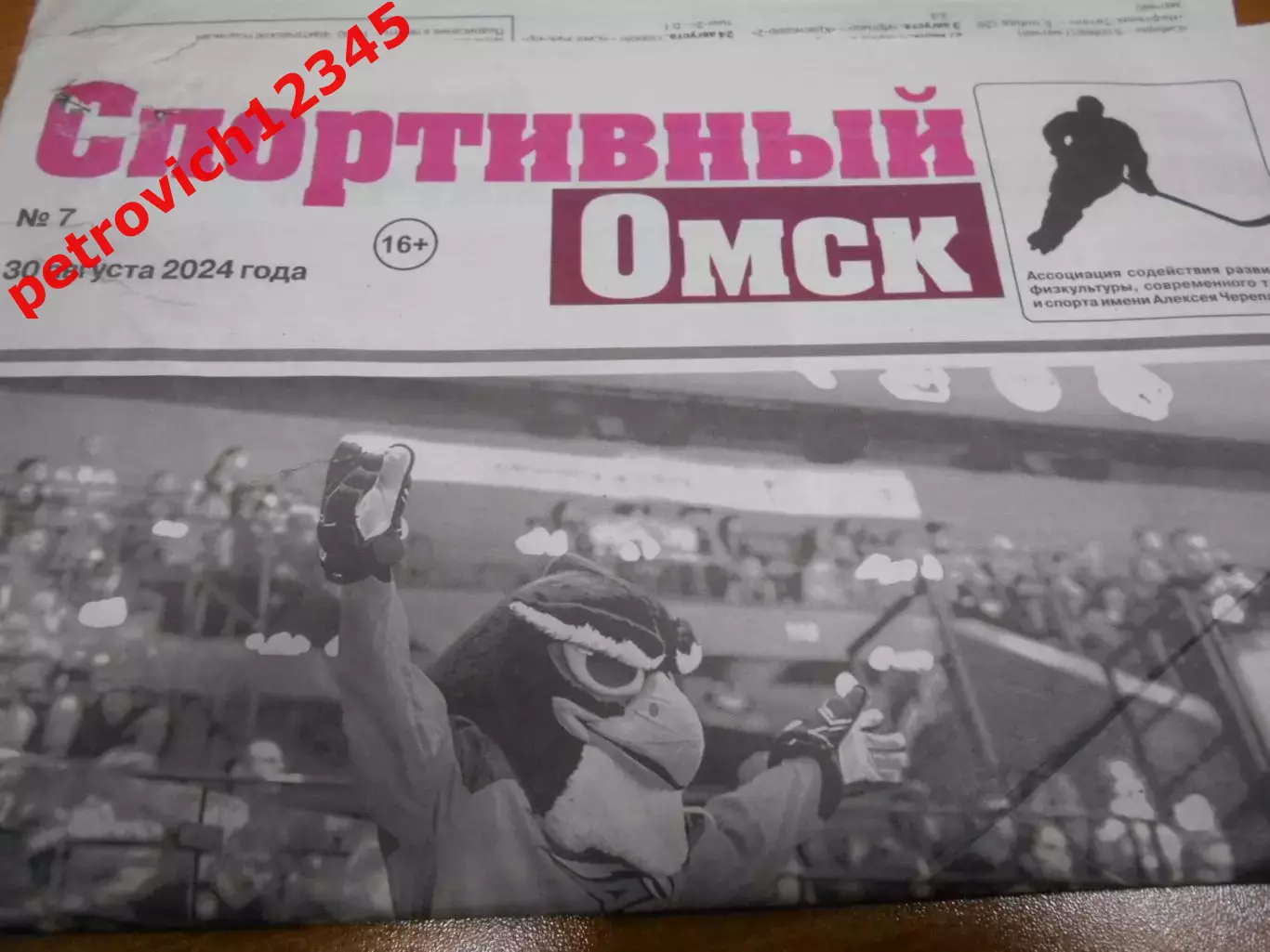 Спортивный Омск №7 - 2024г