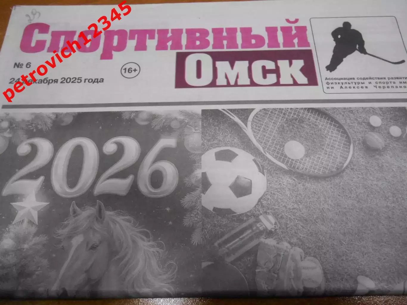 Спортивный Омск №6 - 2025г