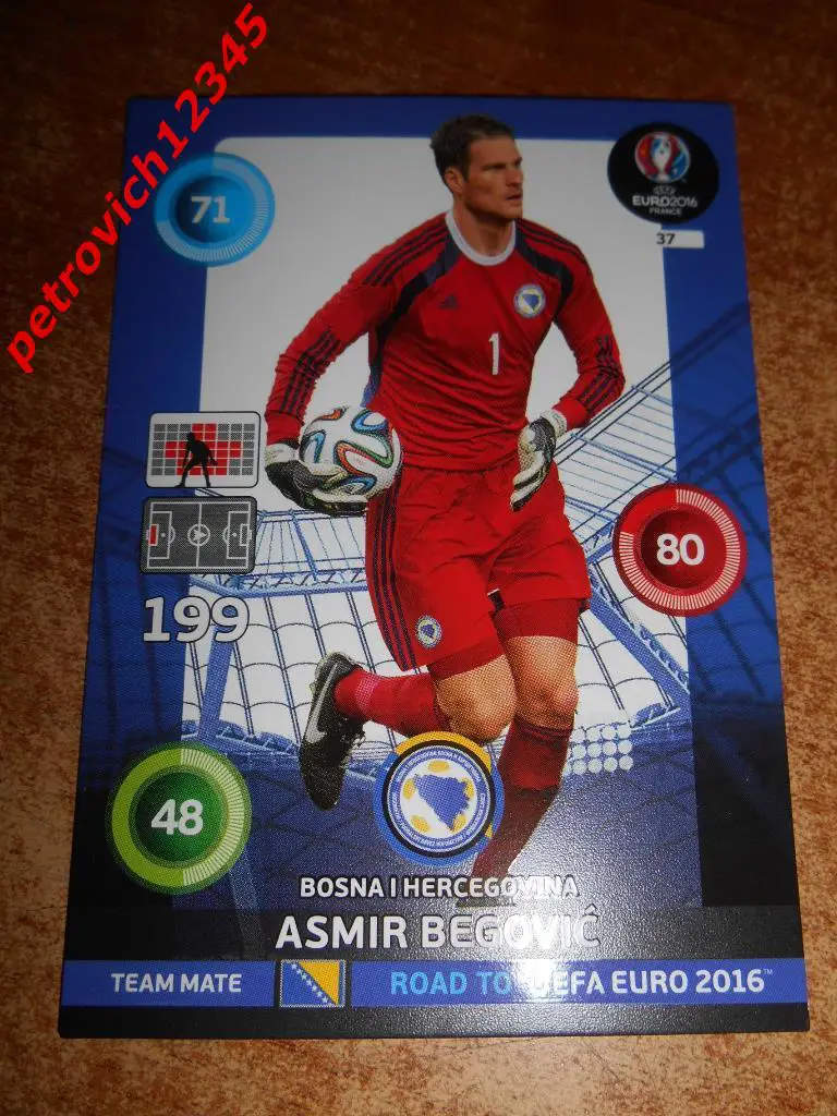 футбол.карточка= Asmir Begovic (Bosna I Hercegovina)