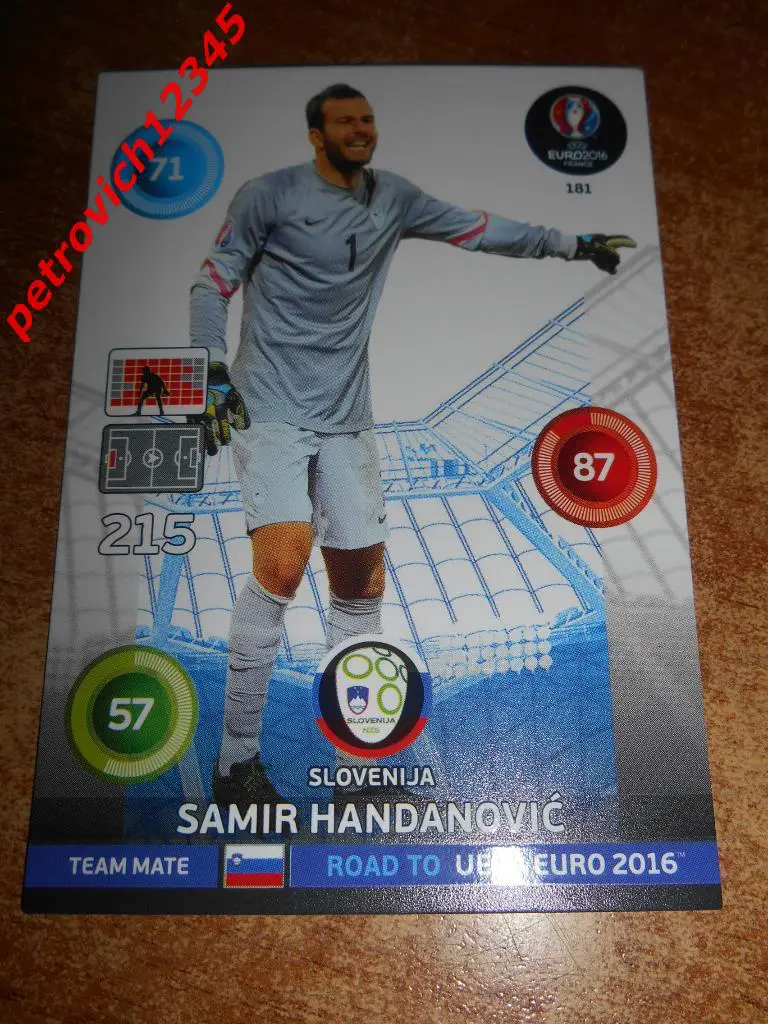 футбол.карточка= Samir Handanovic (Slovenija)