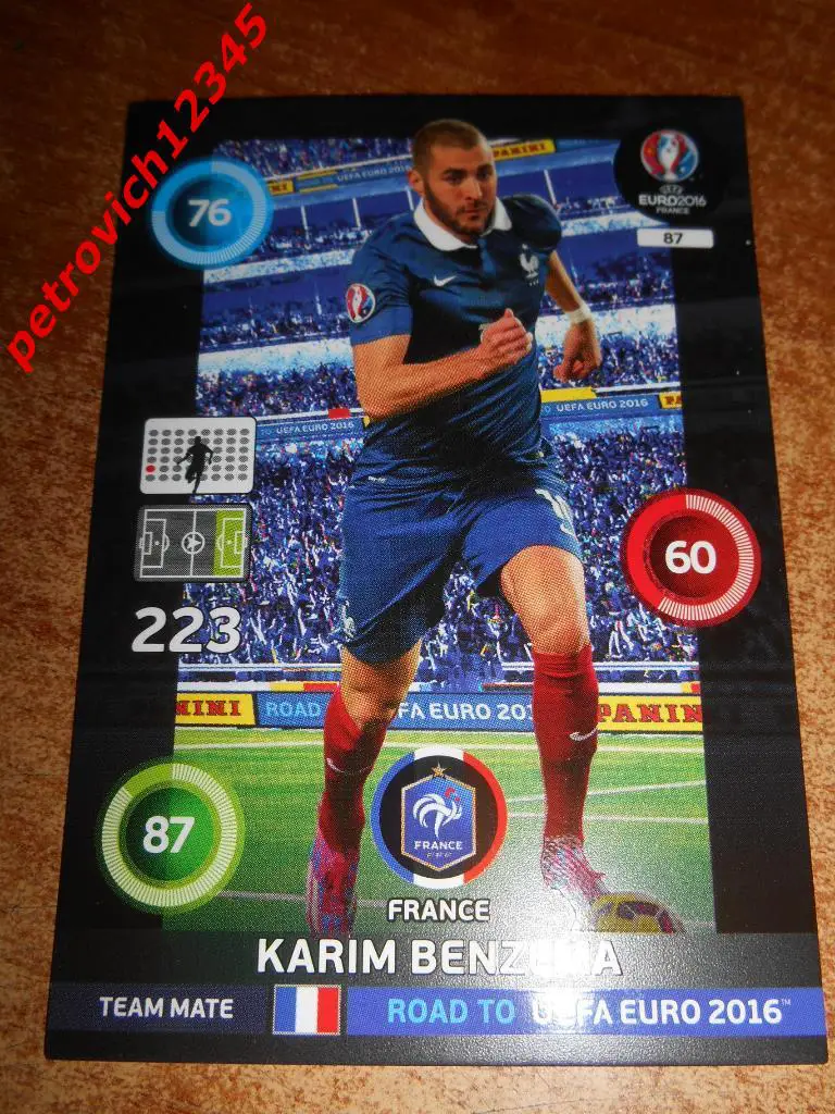 футбол.карточка= Karim Benzema (France)