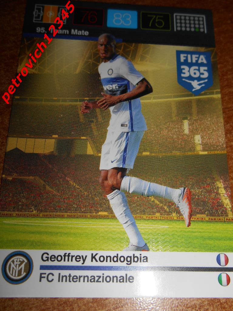 футбол.карточка = Geoffrey Kondogbia (FC Internazionale)