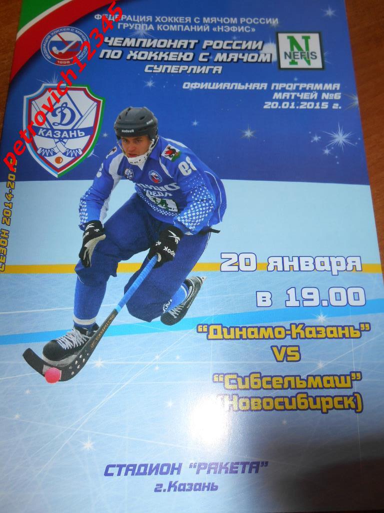 Динамо Казань - Сибсельмаш Новосибирск - 20 января - 2015г