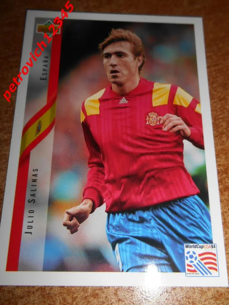 футбол.карточка = Julio Salinas (Spain)