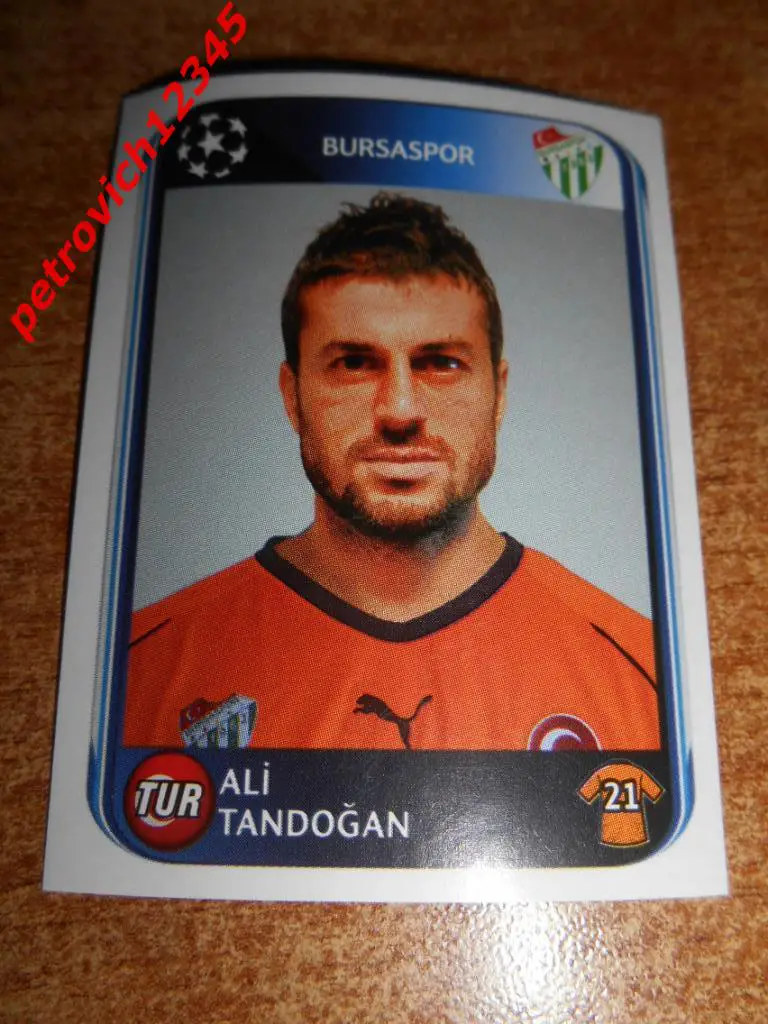 Наклейка PANINI Лига Чемпионов УЕФА 2010-2011 = Ali Tandogan (Bursaspor)