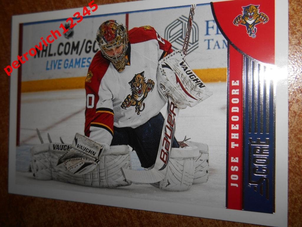 хоккей.карточка = Jose Theodore- Florida Panthers