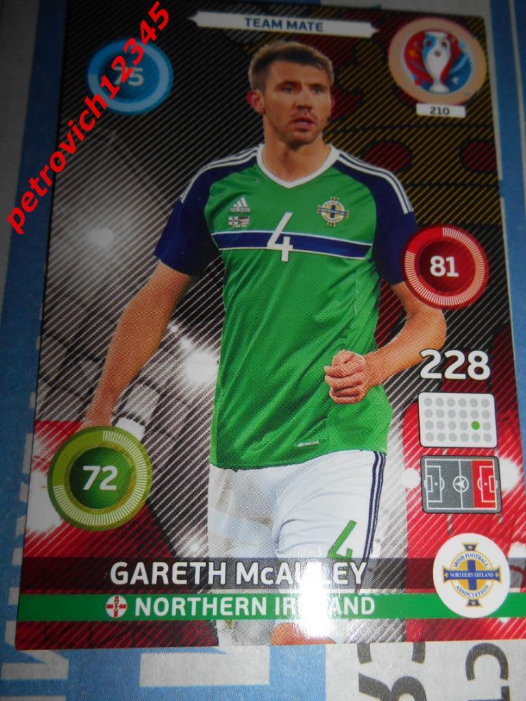 футбол.карточка = Gareth McAuley - Northern Ireland