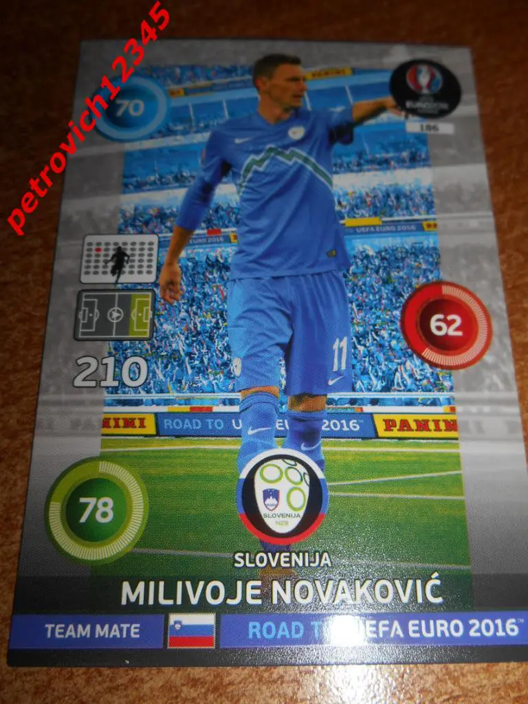 футбол.карточка = Milivoje Novakovic - Slovenia