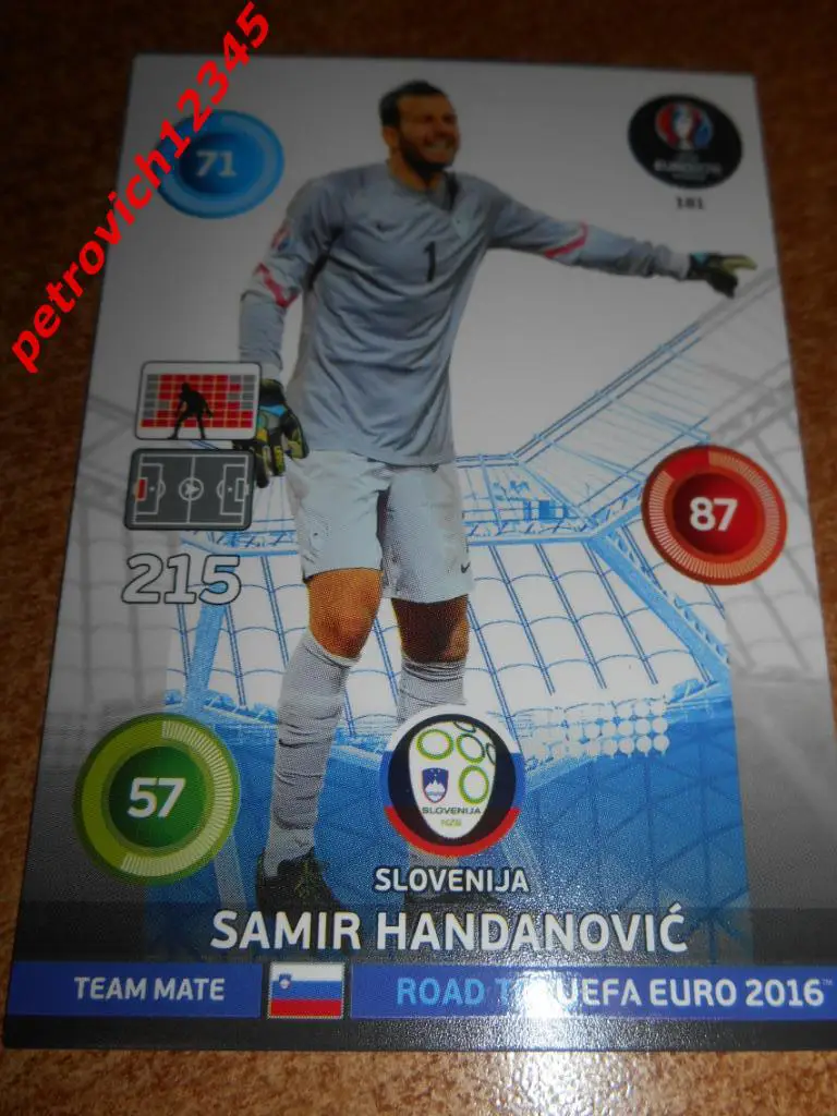 футбол.карточка = Samir Handanovic - Slovenia