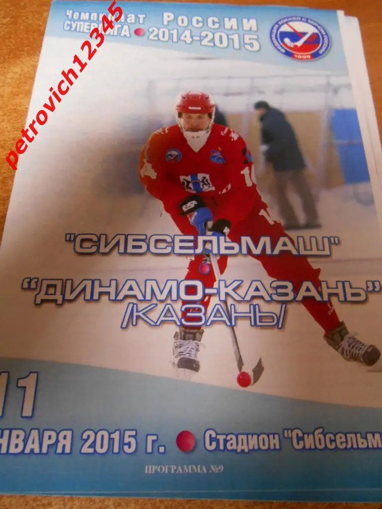 Сибсельмаш Новосибирск - Динамо Казань - 11 января 2015г