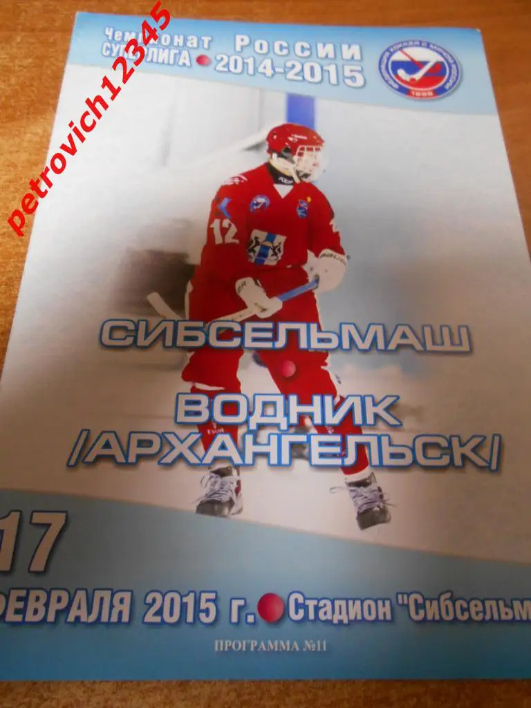 Сибсельмаш Новосибирск - Водник Архангельск - 17 февраля 2015г