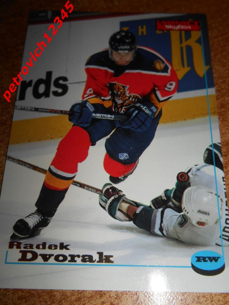 хоккей.карточка = 44 - Radek Dvorak - Florida Panthers