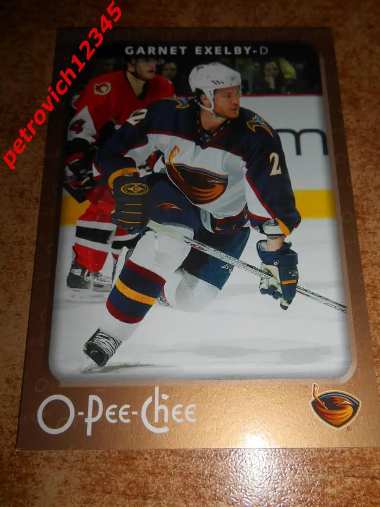хоккей.карточка = 30 - Garnet Exelby - Atlanta Thrashers