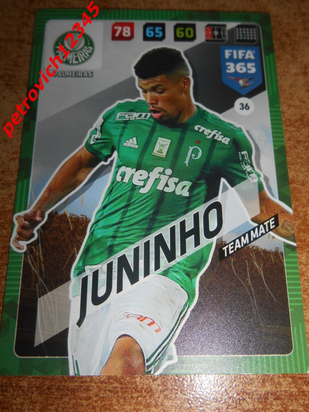 футбол.карточка = 36 - Juninho - Palmeiras