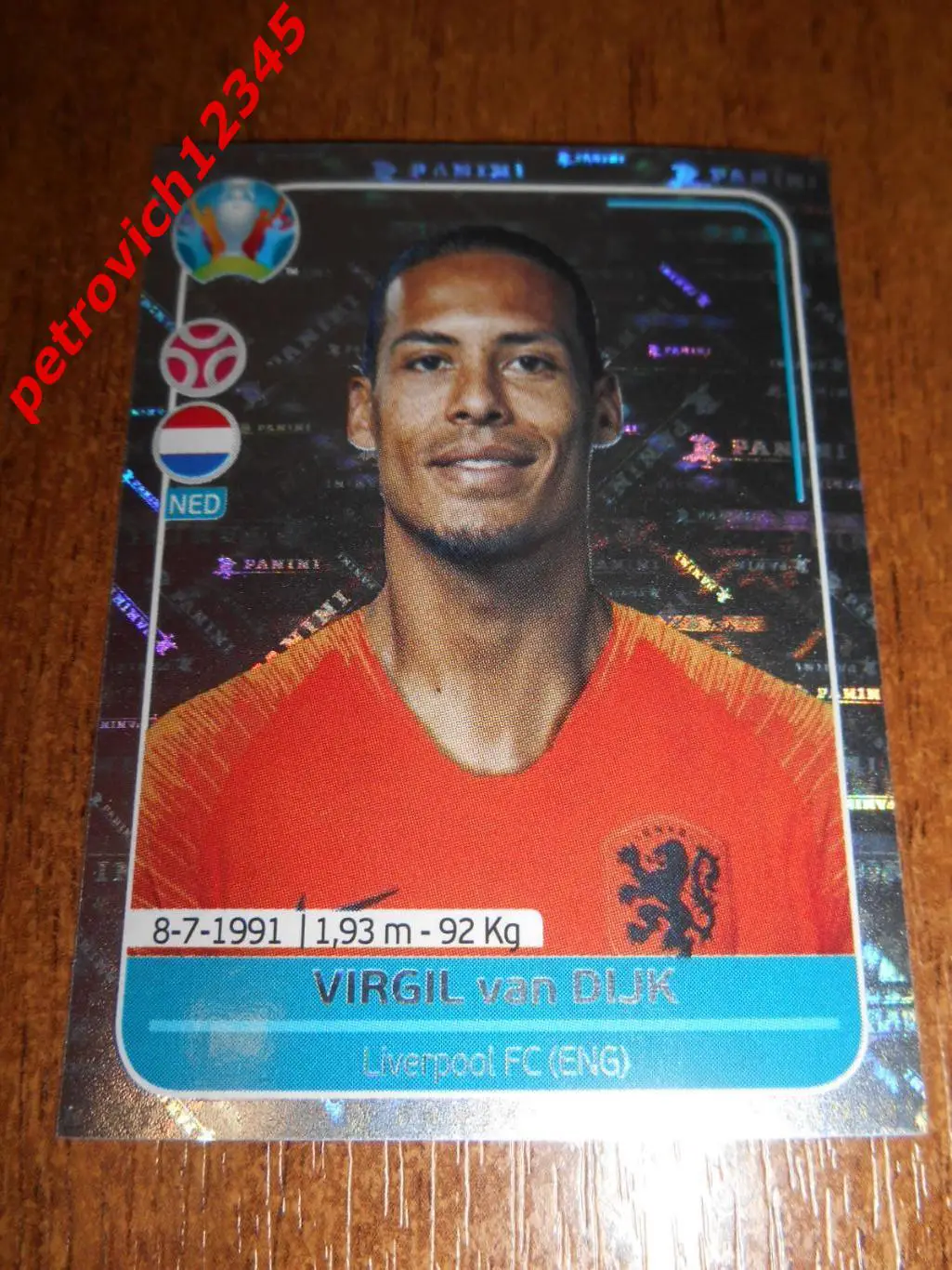 2020 Panini UEFA Euro Preview = NED6 - Virgil van Dijk FOIL - Netherlands