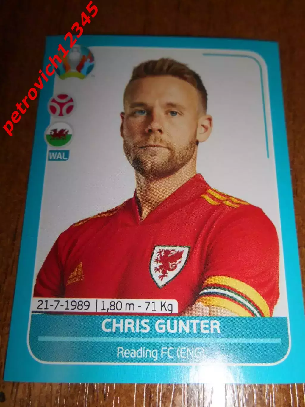 2020 Panini UEFA Euro Preview = WAL10 - Chris Gunter - Wales