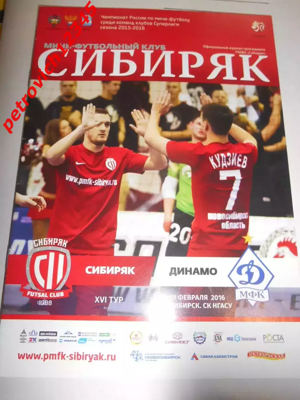 Сибиряк Новосибирск - Динамо Москва - 18 - 19 февраля 2016г