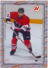 Евгений Пупков (Металлург Новокузнецк) Мировой спорт Российский хоккей 2000-2001